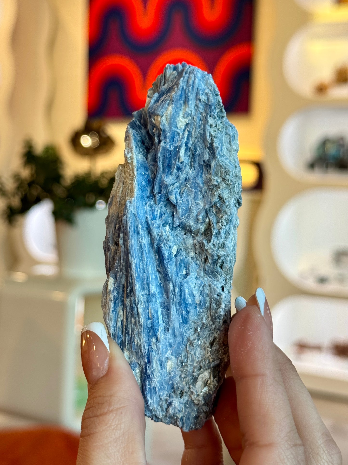 Rough/Raw Blue Kyanite