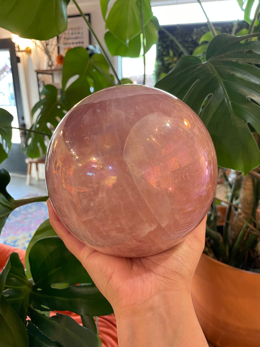 XL Angel Aura Rose Quartz Sphere - RQS001 - Luna Metaphysical