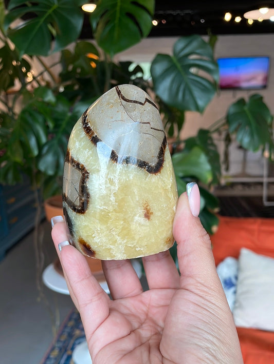 Freeform Septarian - SEP06