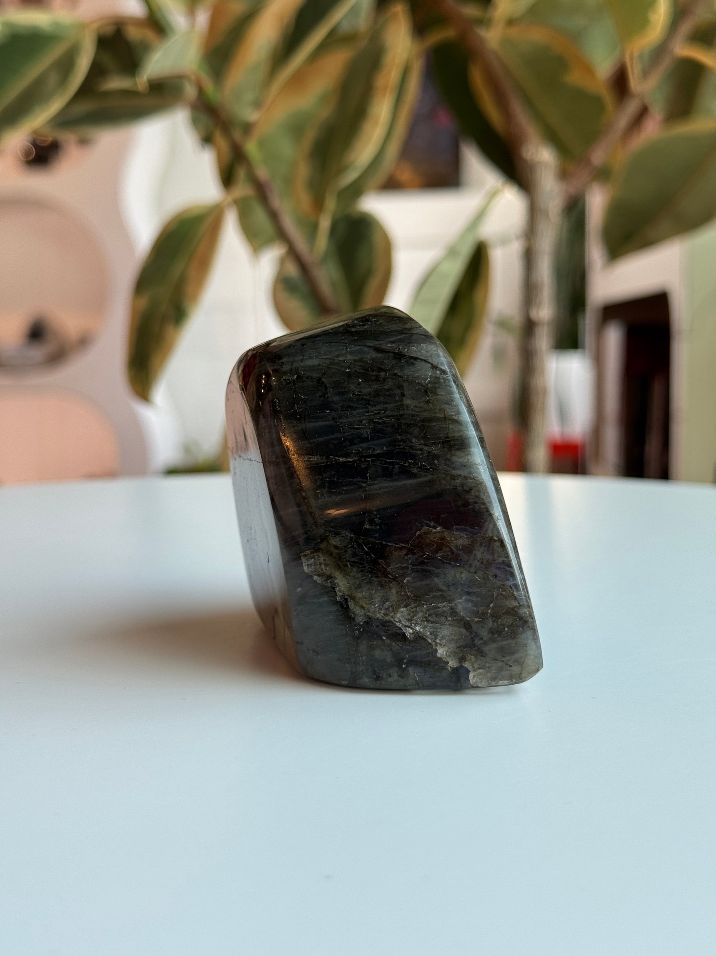 Labradorite Polished Freeform - LB3