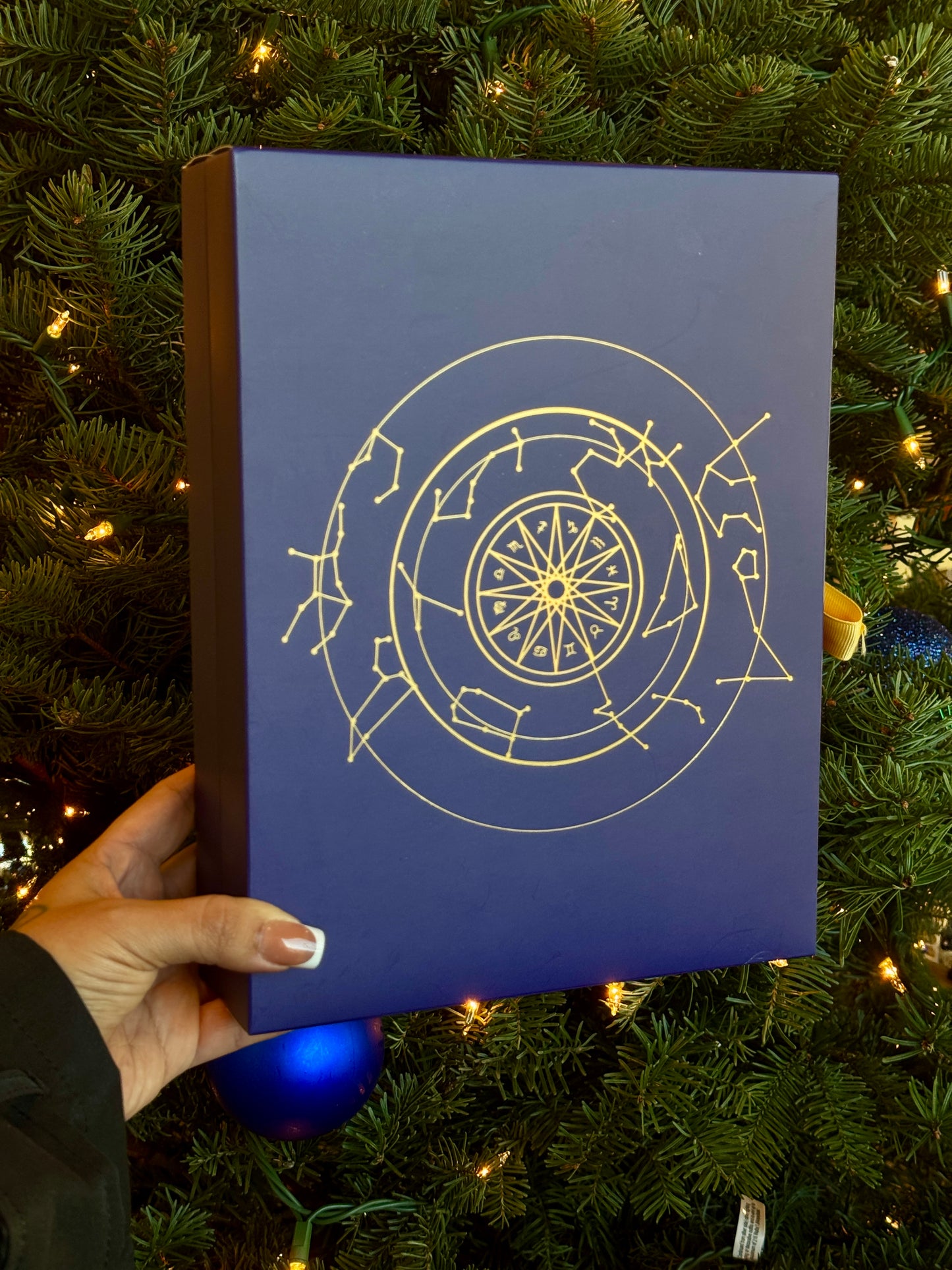 PRE-ORDER Luna Metaphysical Advent Calendar - Tier 2