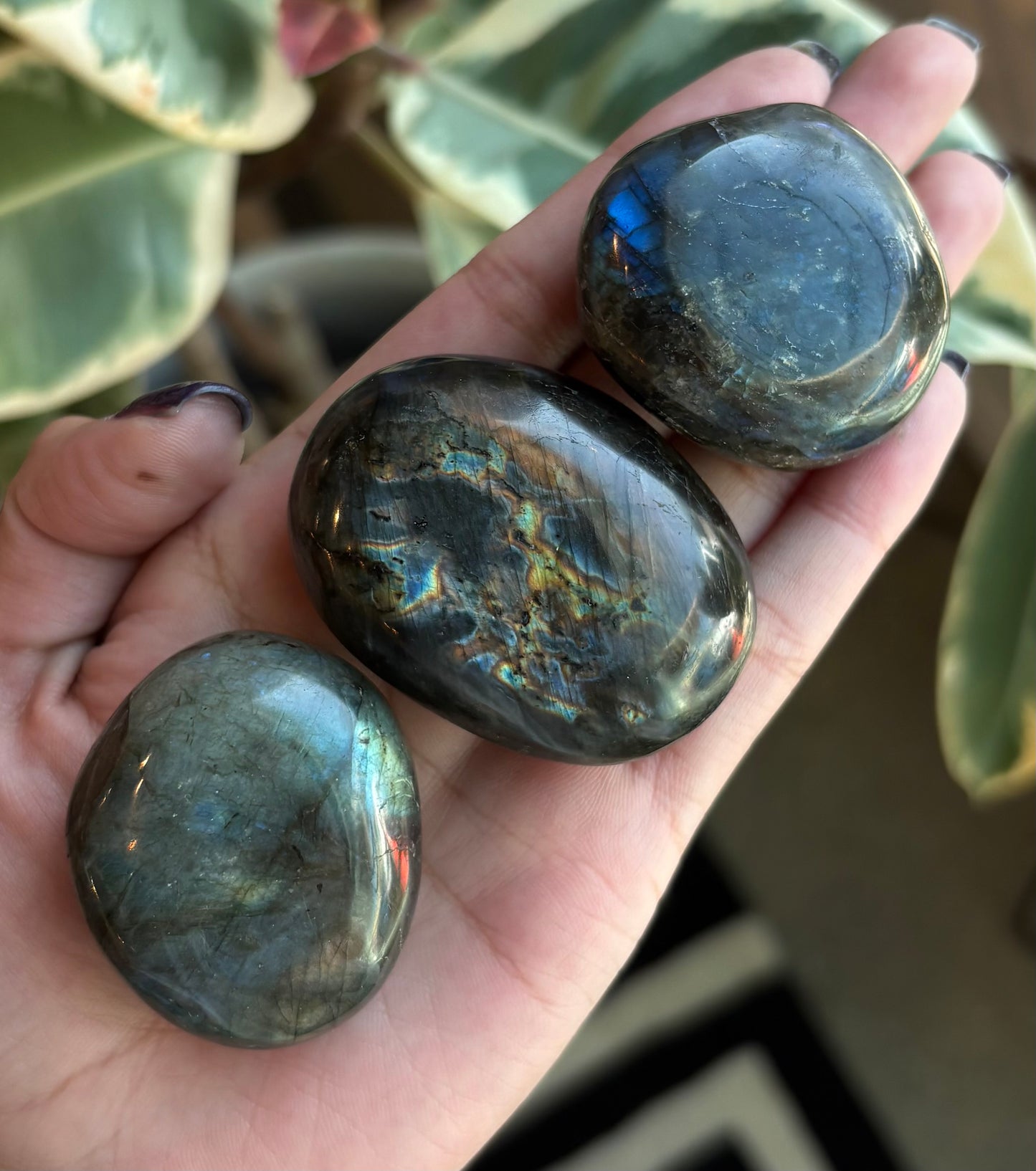 Labradorite Palm stone Madagascar