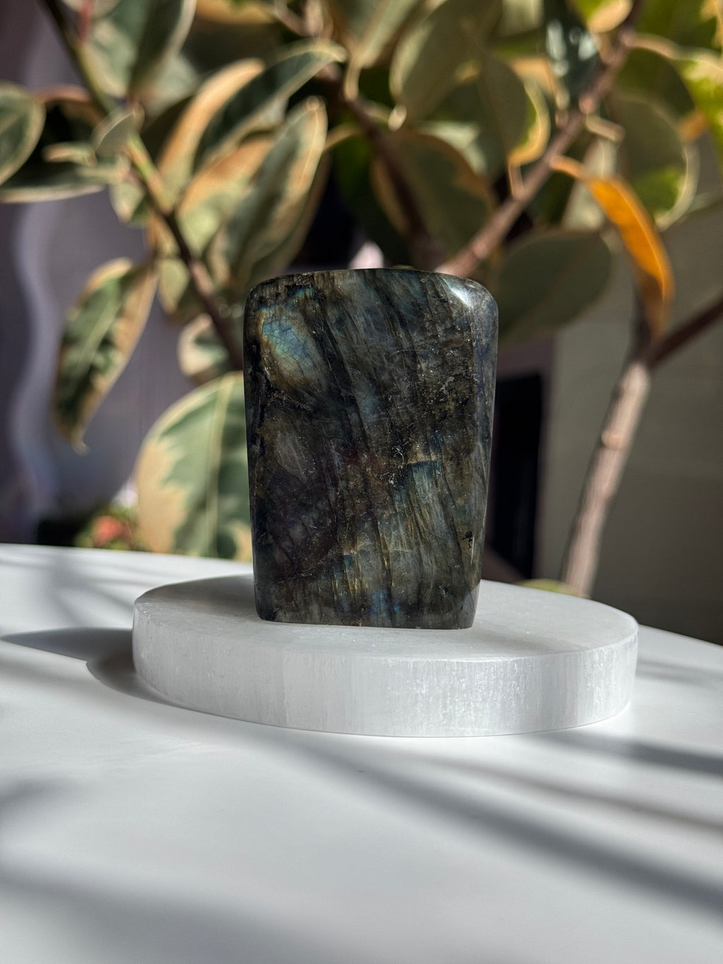Polished Labradorite Freeform - LB7