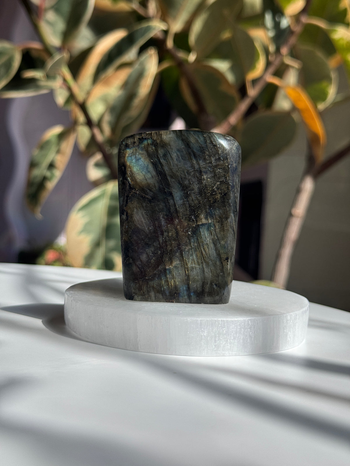 Polished Labradorite Freeform - LB7
