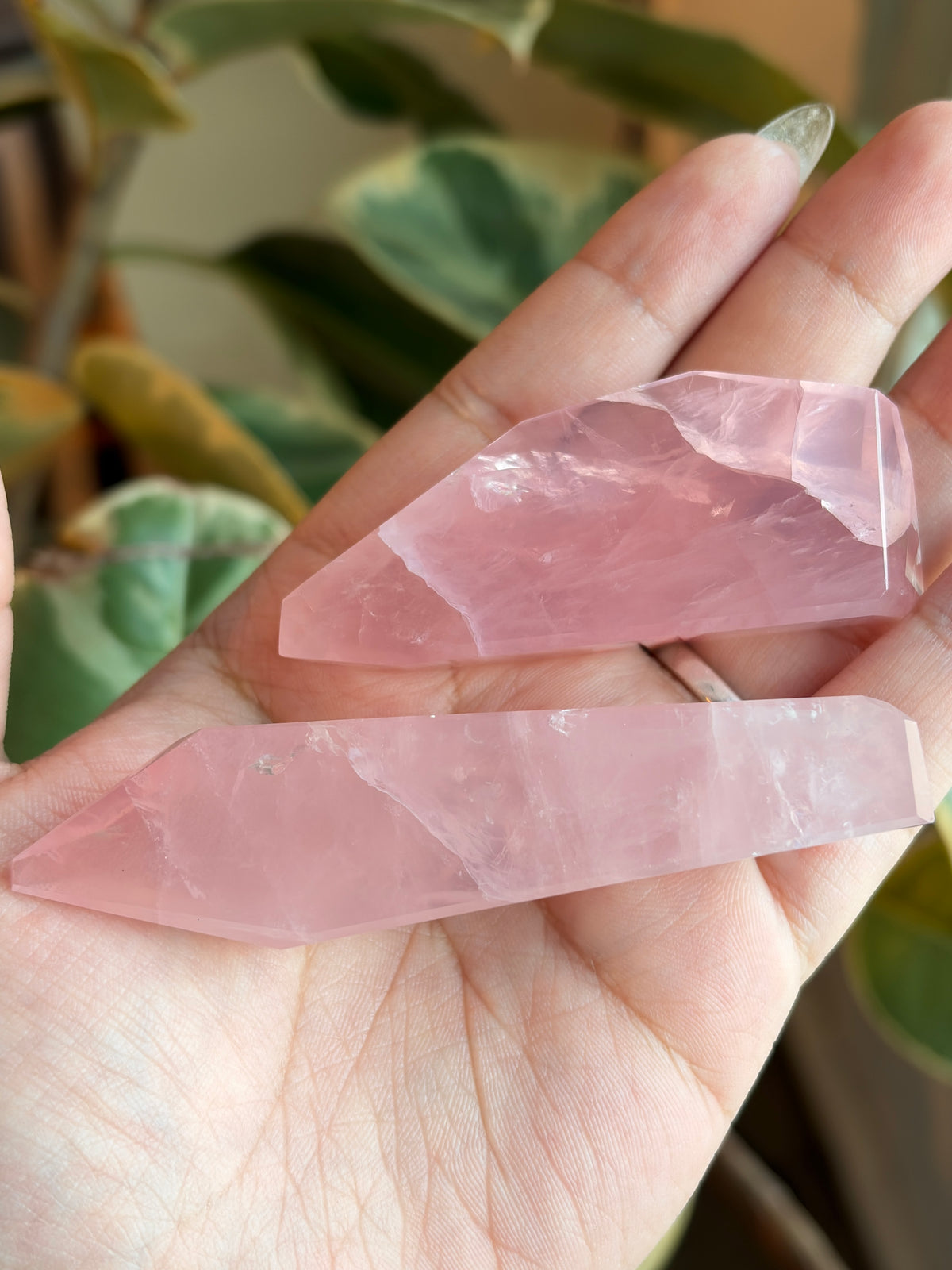 Small Rose Quartz Freeform