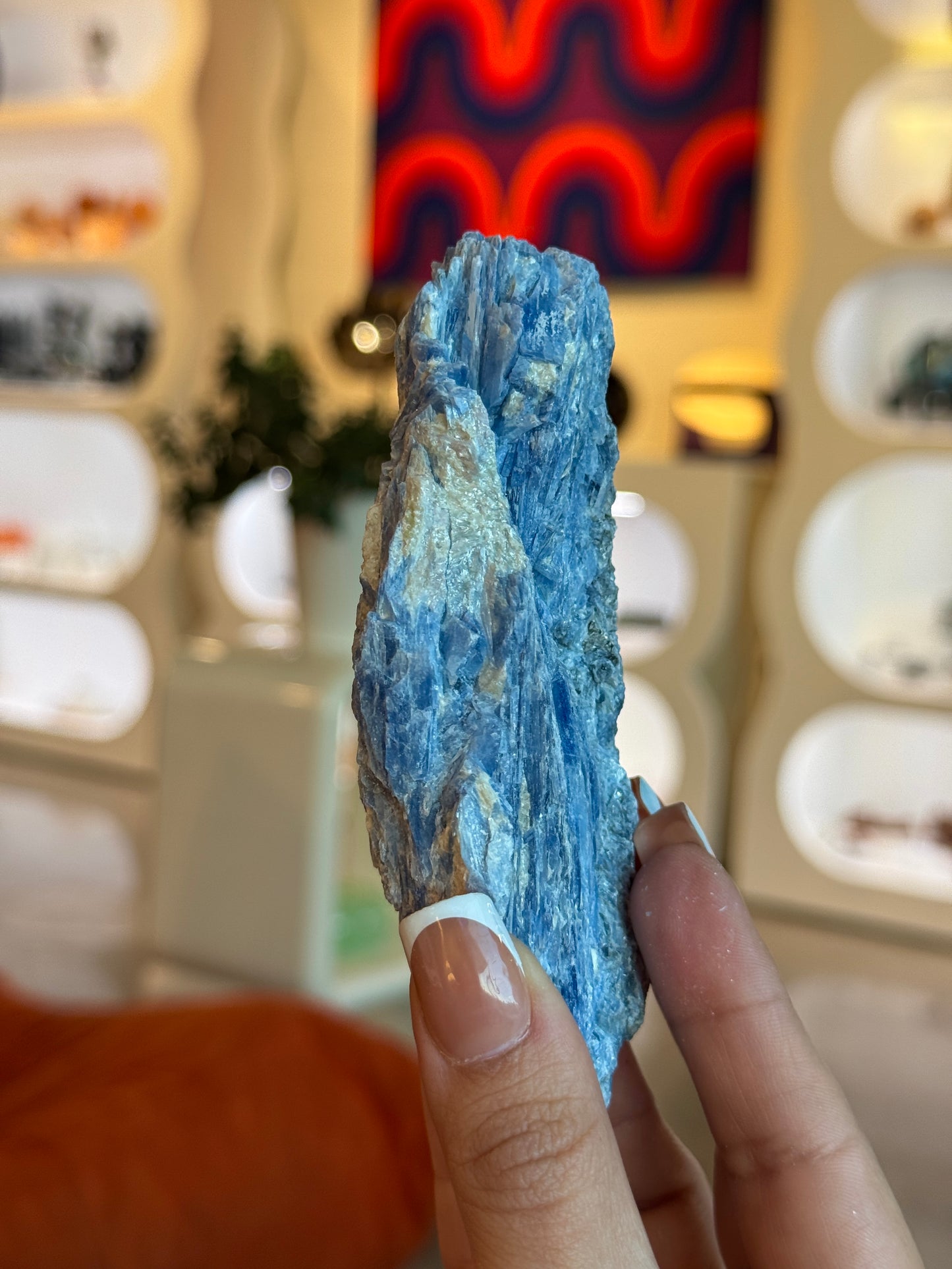 Rough/Raw Blue Kyanite