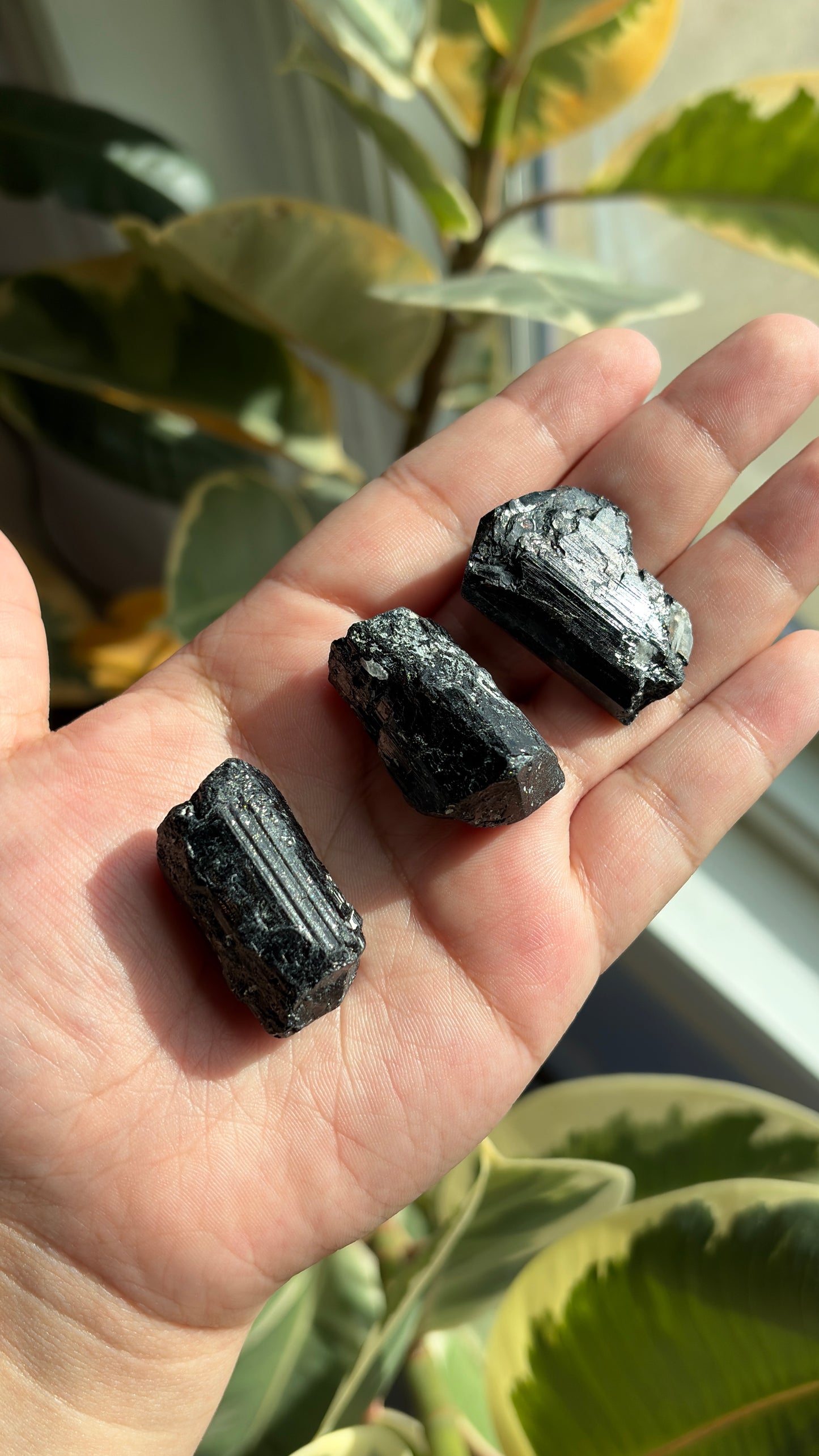 High Grade Brazilian Raw Black Tourmaline