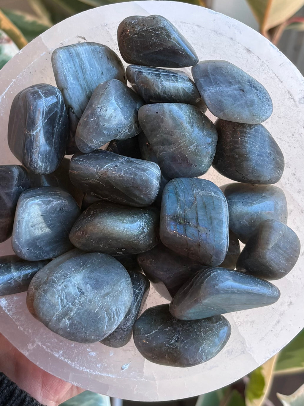 Madagascar Labradorite Large Tumble