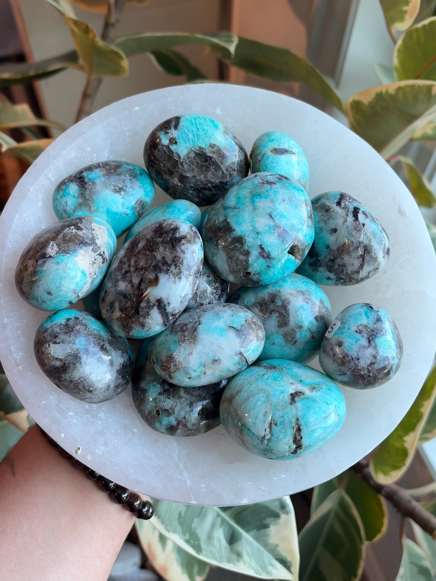 Amazonite Palm Stone