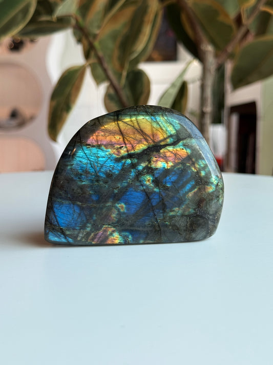 Labradorite Polished Freeform - LB3