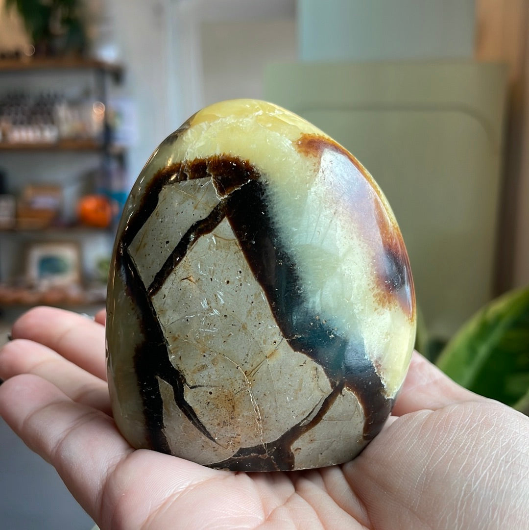 Septarian Freeform - SEP04