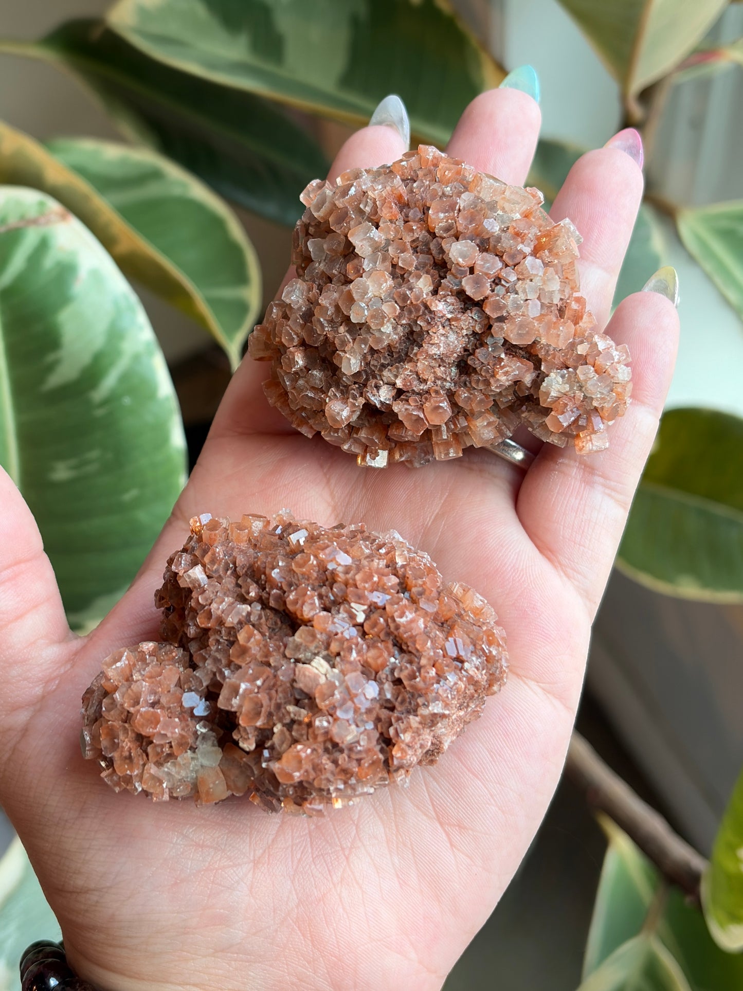 Red Aragonite Large Star Burst