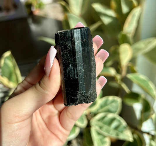 AAA+ Unpolished Black Tourmaline