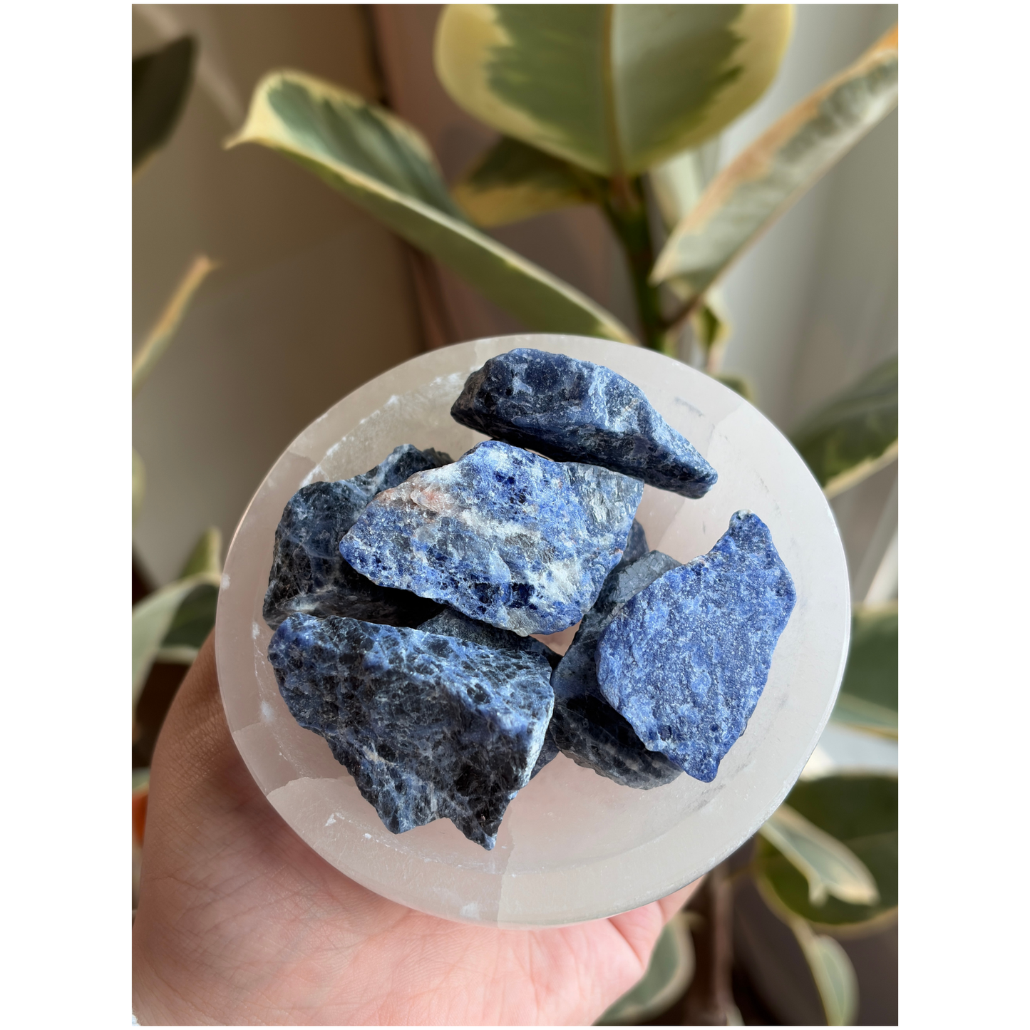 Rough/Raw Sodalite
