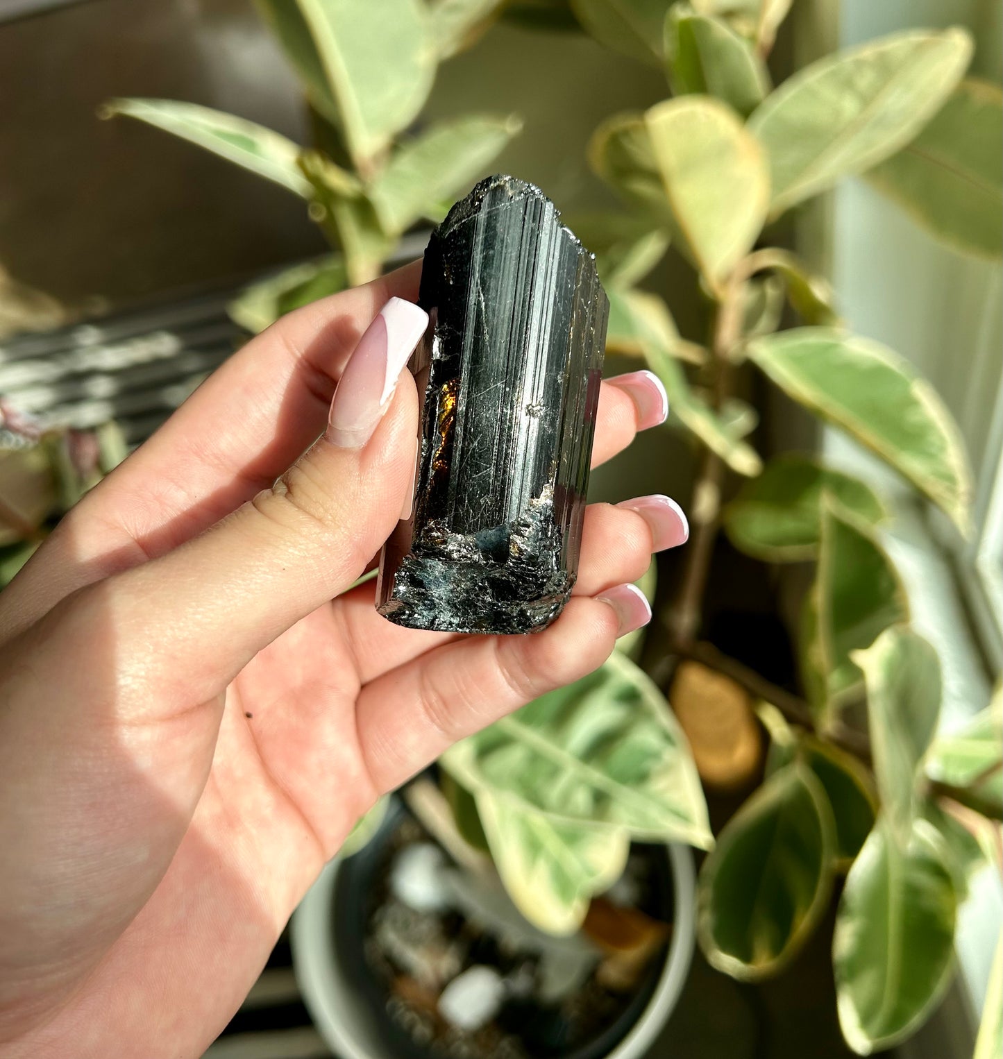 AAA+ Unpolished Black Tourmaline