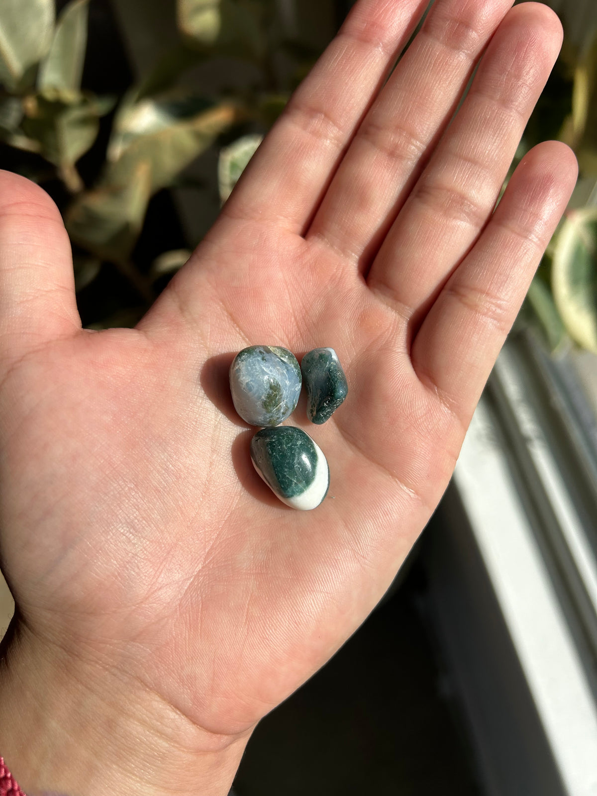 Moss Agate Small Tumble