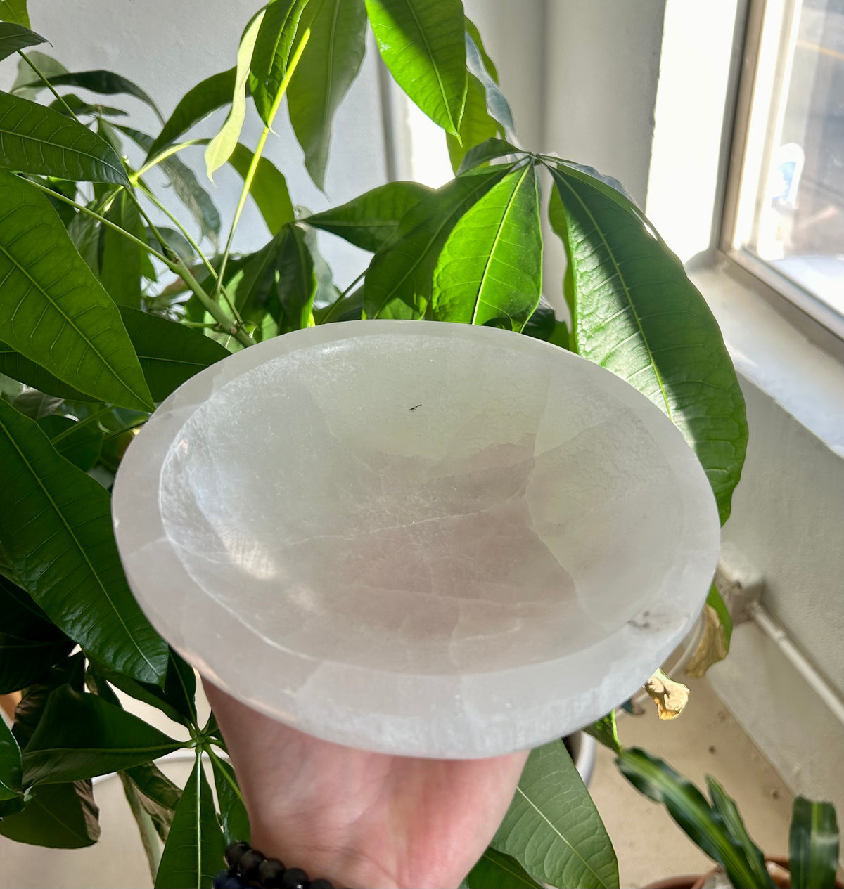 7.5-8” Diameter Selenite X-large Bowl