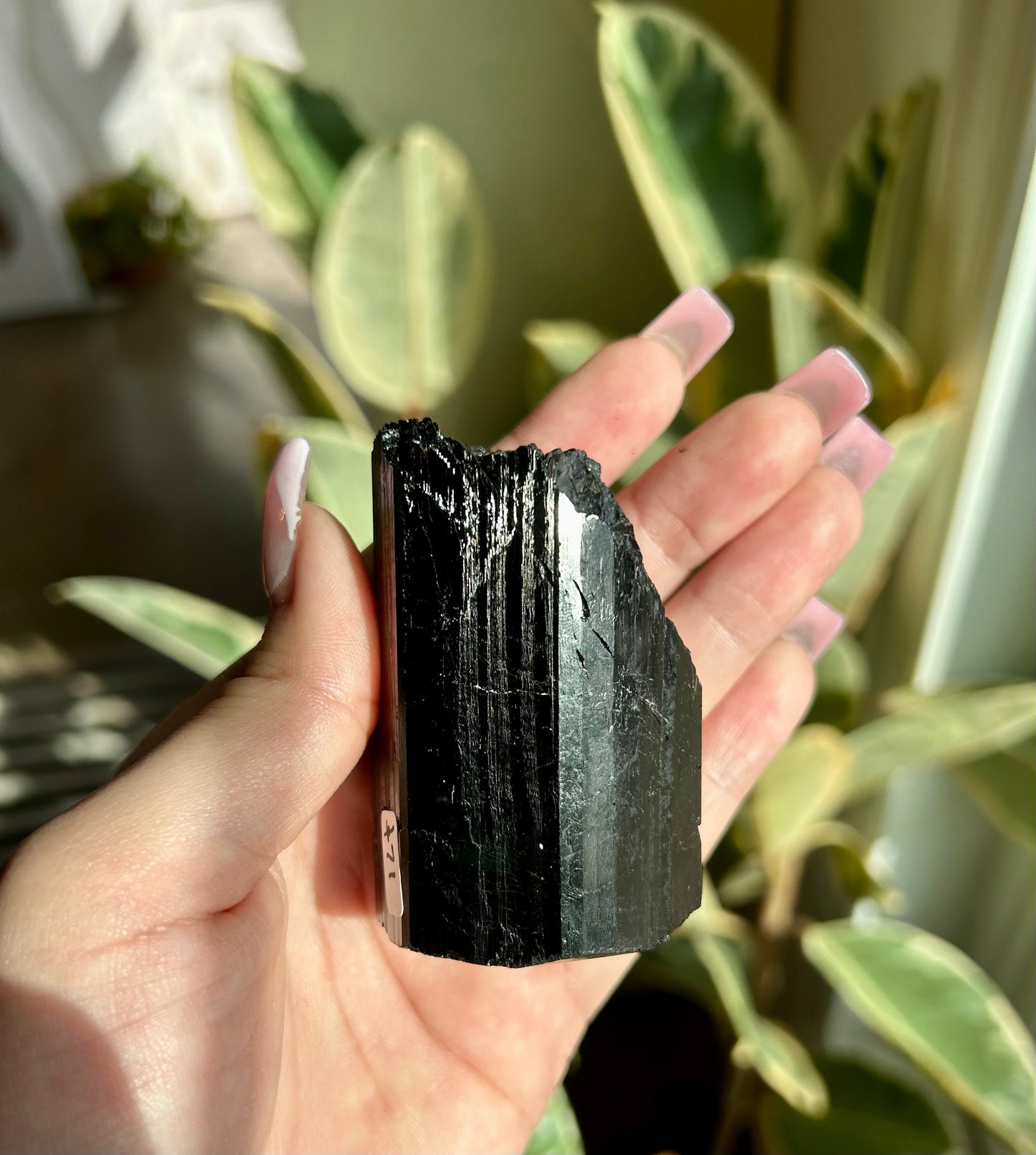 AAA+ Unpolished Black Tourmaline