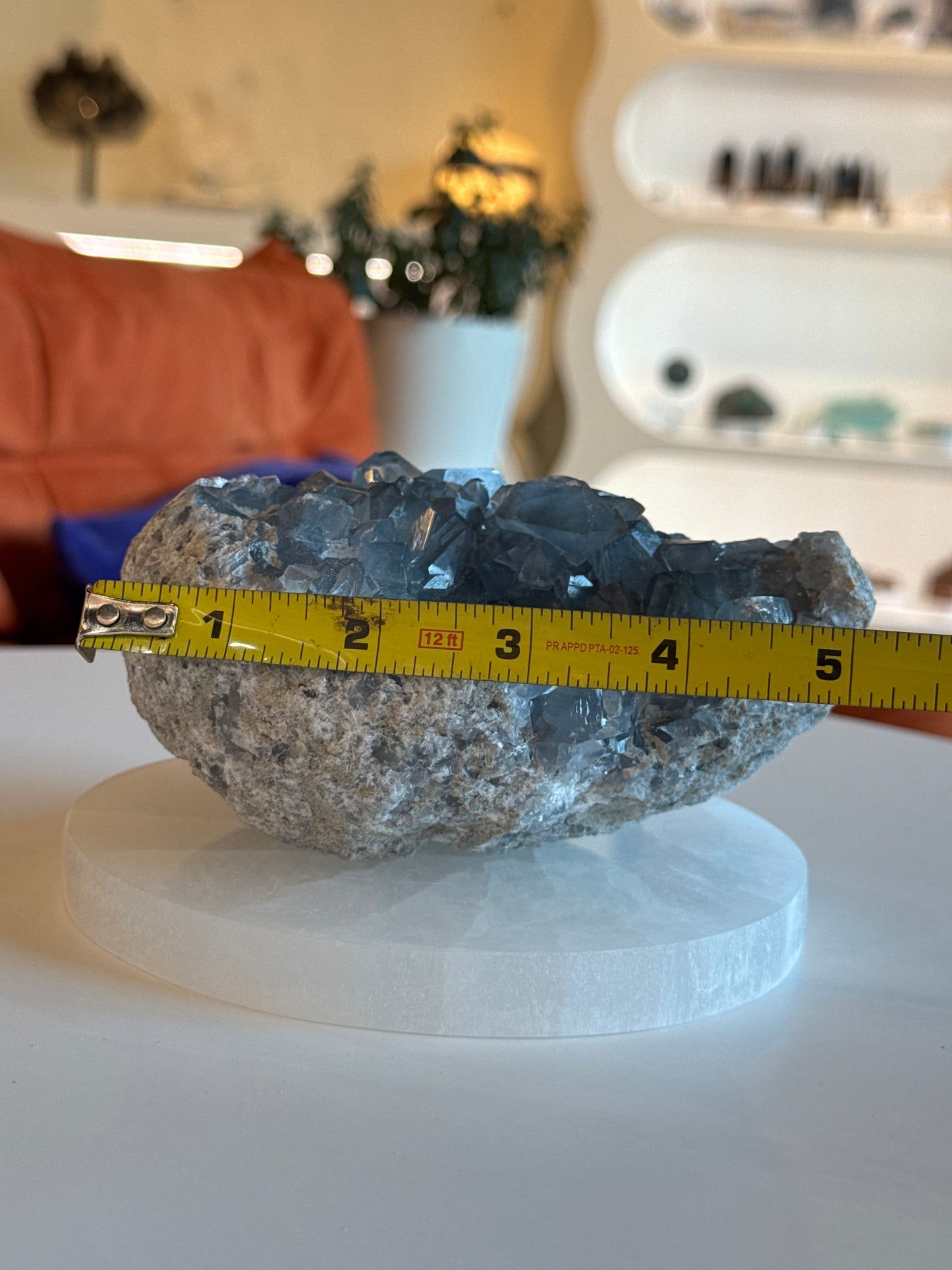 Large Rough Blue Celestite Cluster Freeform
