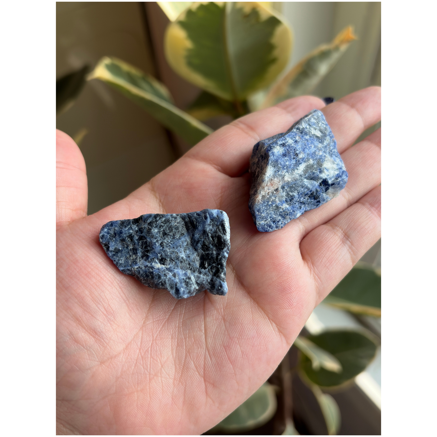 Rough/Raw Sodalite