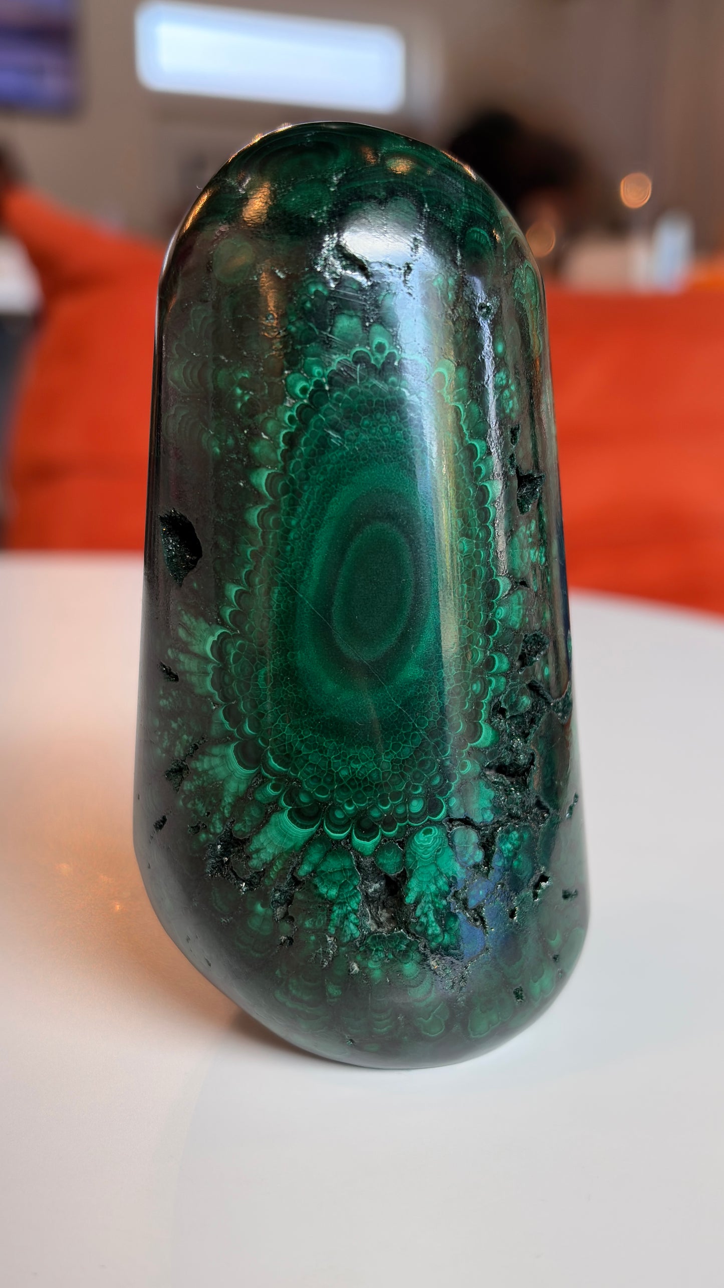 High Grade Polished Malachite Freeform