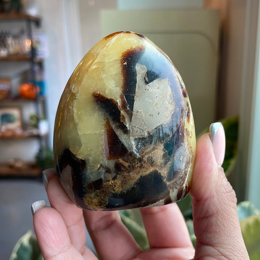 Septarian Freeform - SEP04