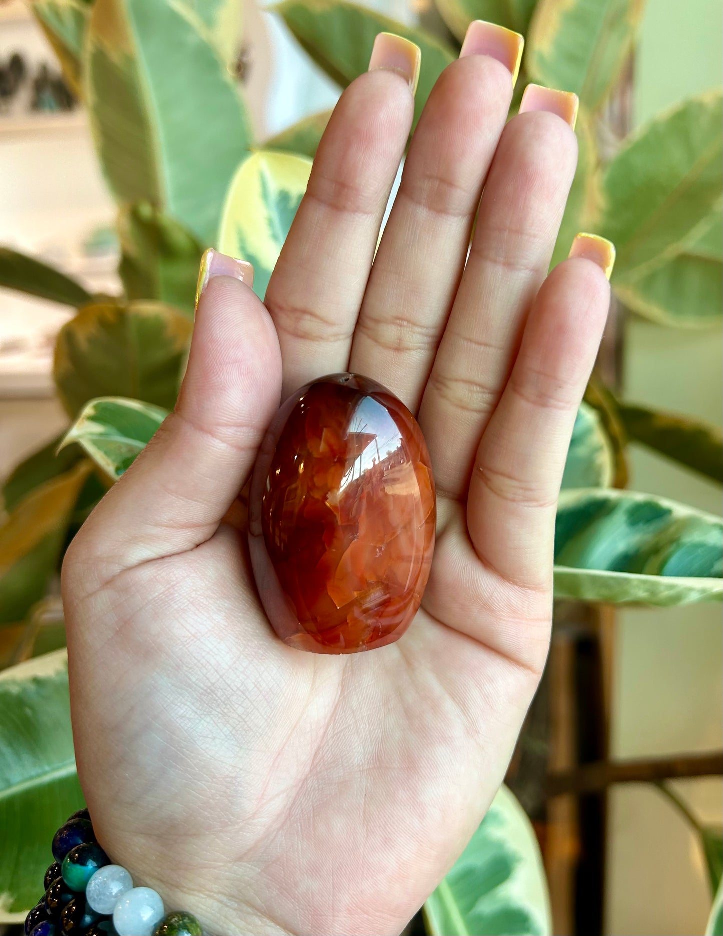 Carnelian Freeform - TT Live ✨
