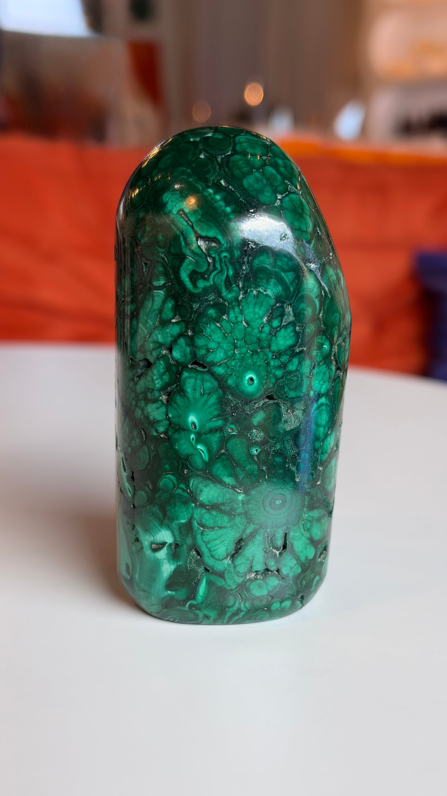 High Grade Polished Malachite Freeform