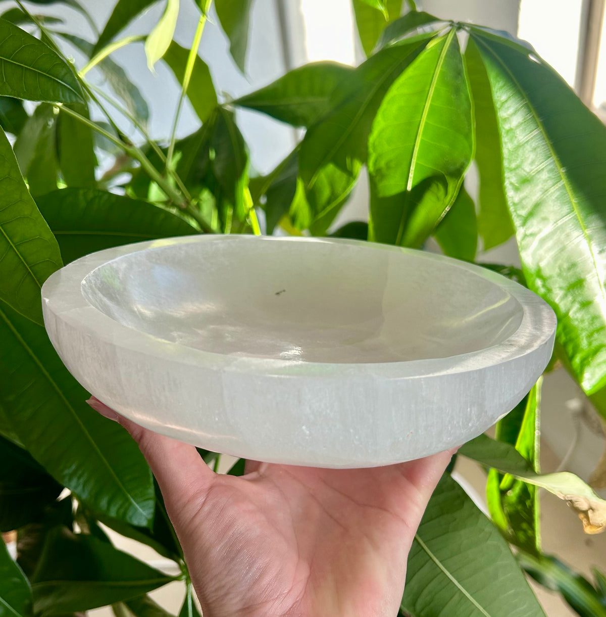 7.5-8” Diameter Selenite X-large Bowl