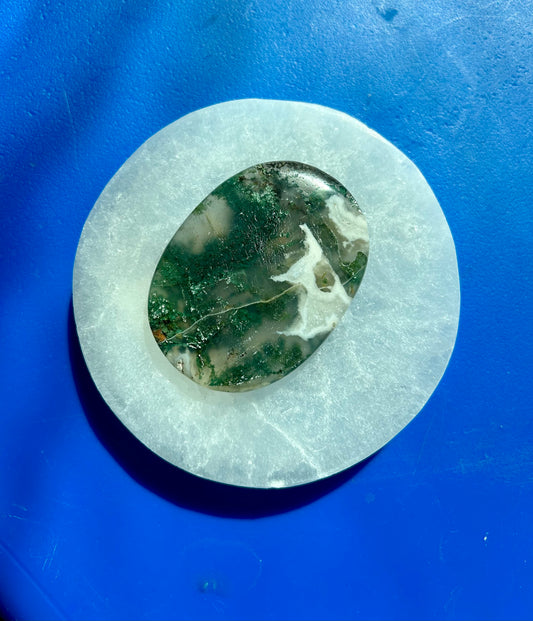 Moss Agate Palm Stone