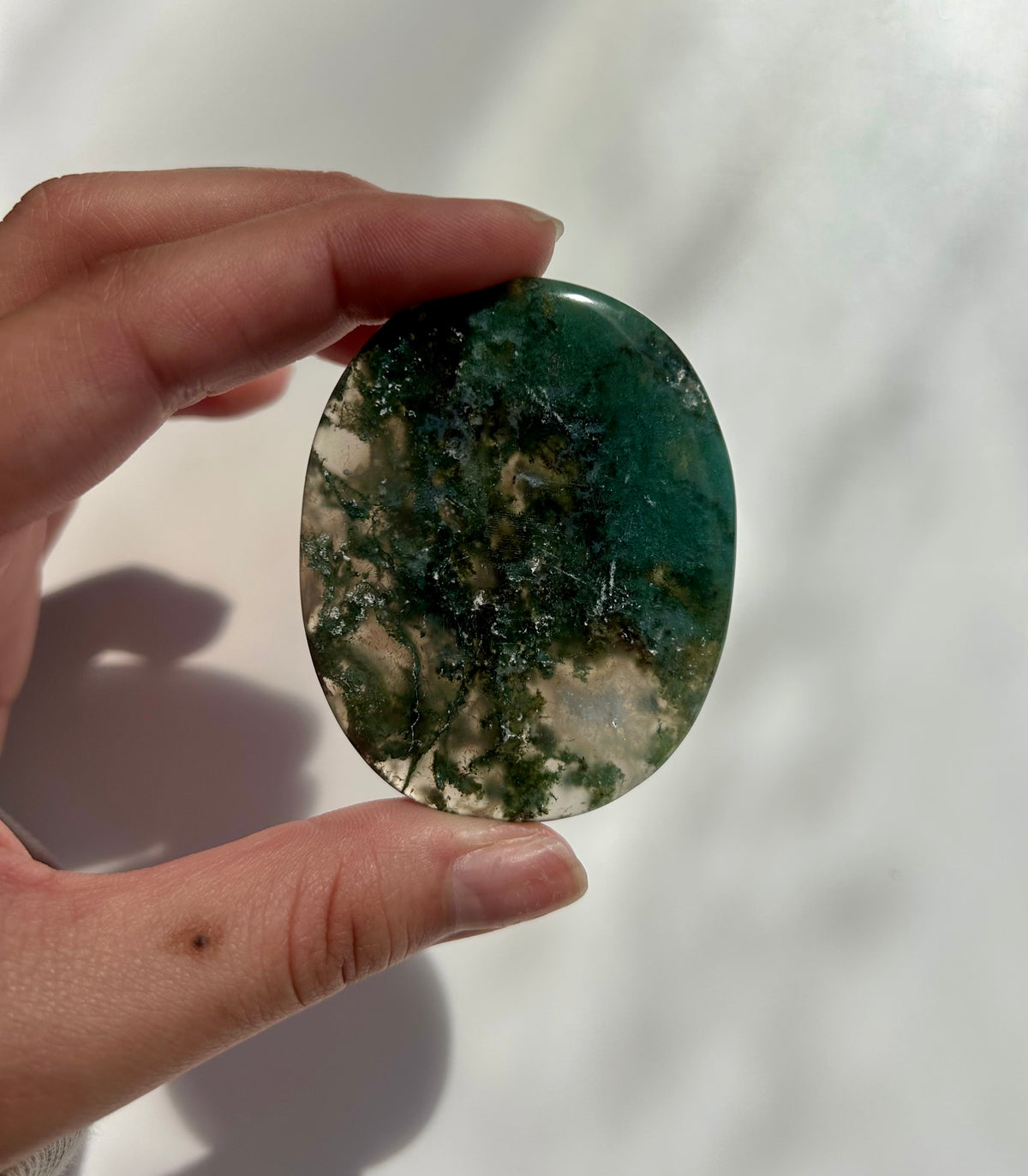 Moss Agate Palm Stone