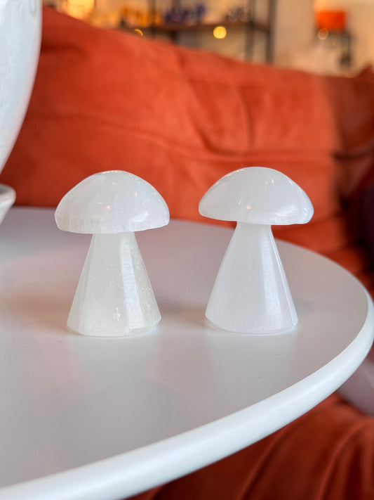 Selenite mushroom