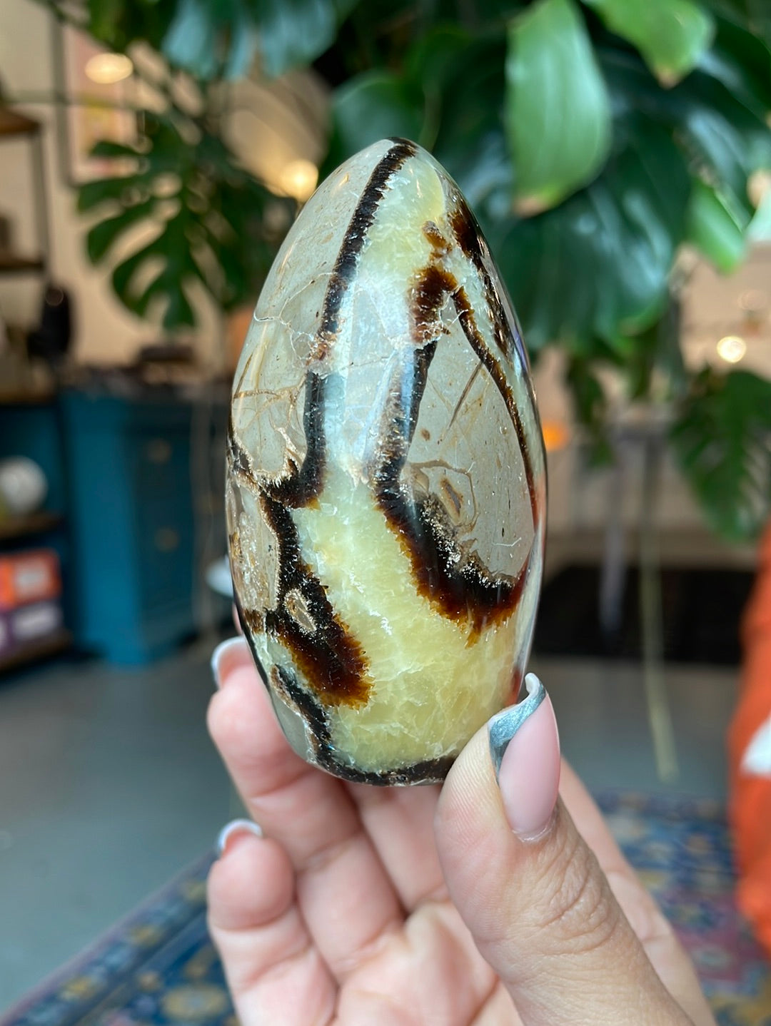 Septarian Cut Base Freeform - SEP03