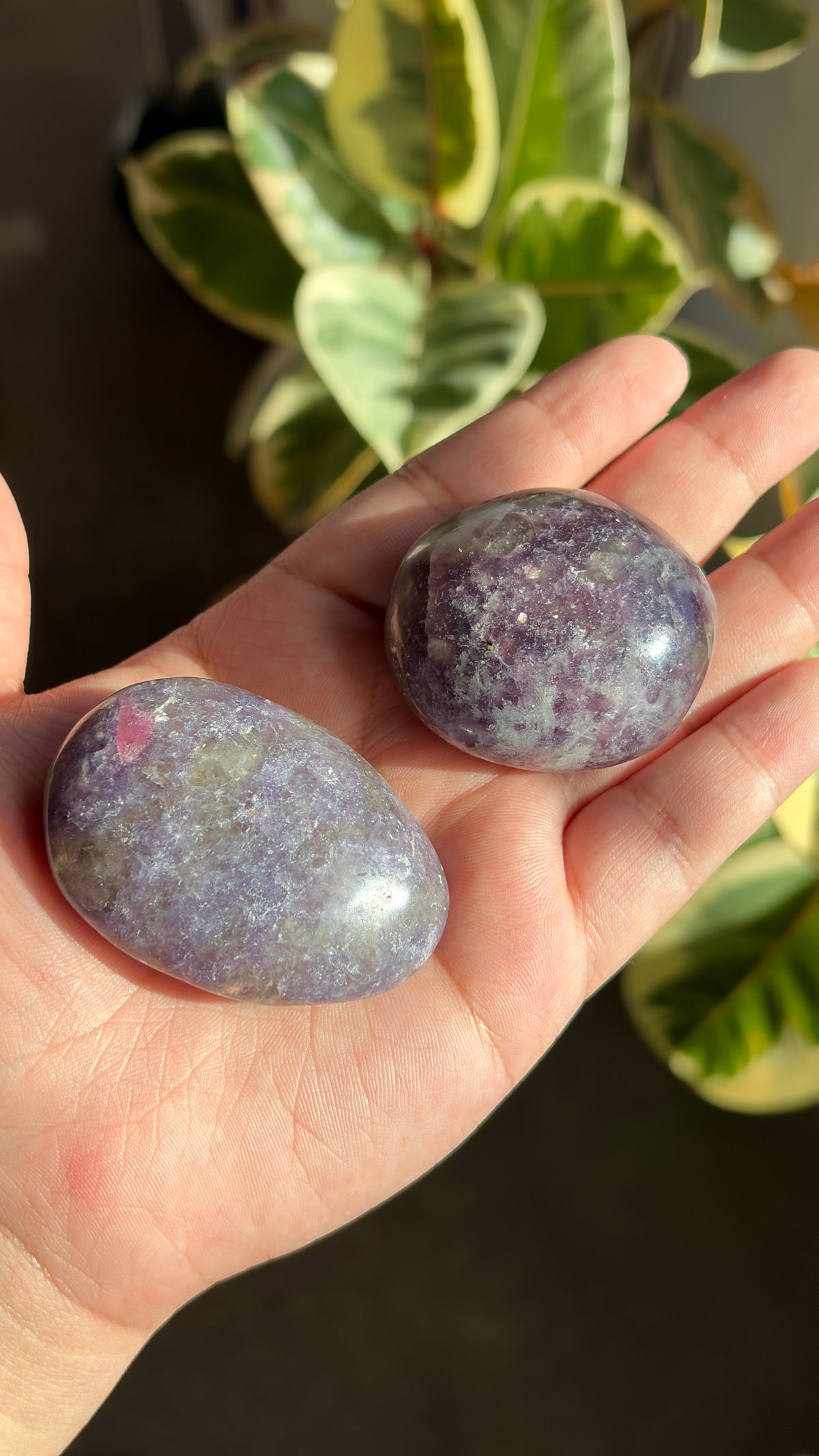Lepidolite Palm Stones