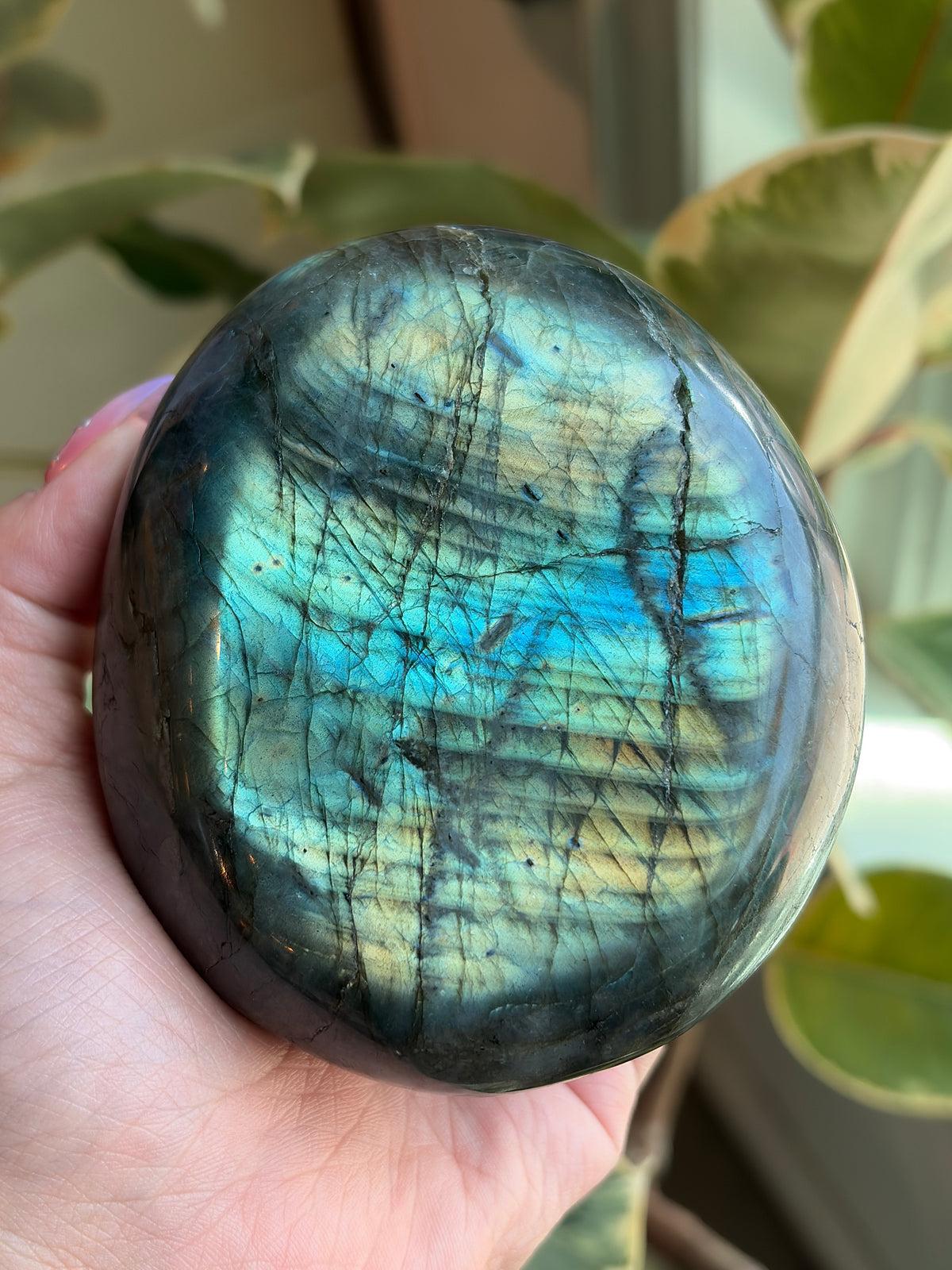 Labradorite Large Palm Stone