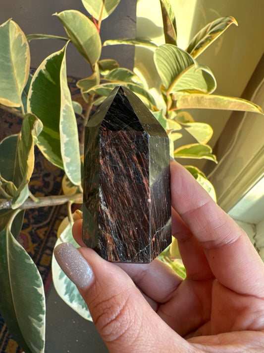 Tourmaline with Red Jasper #6