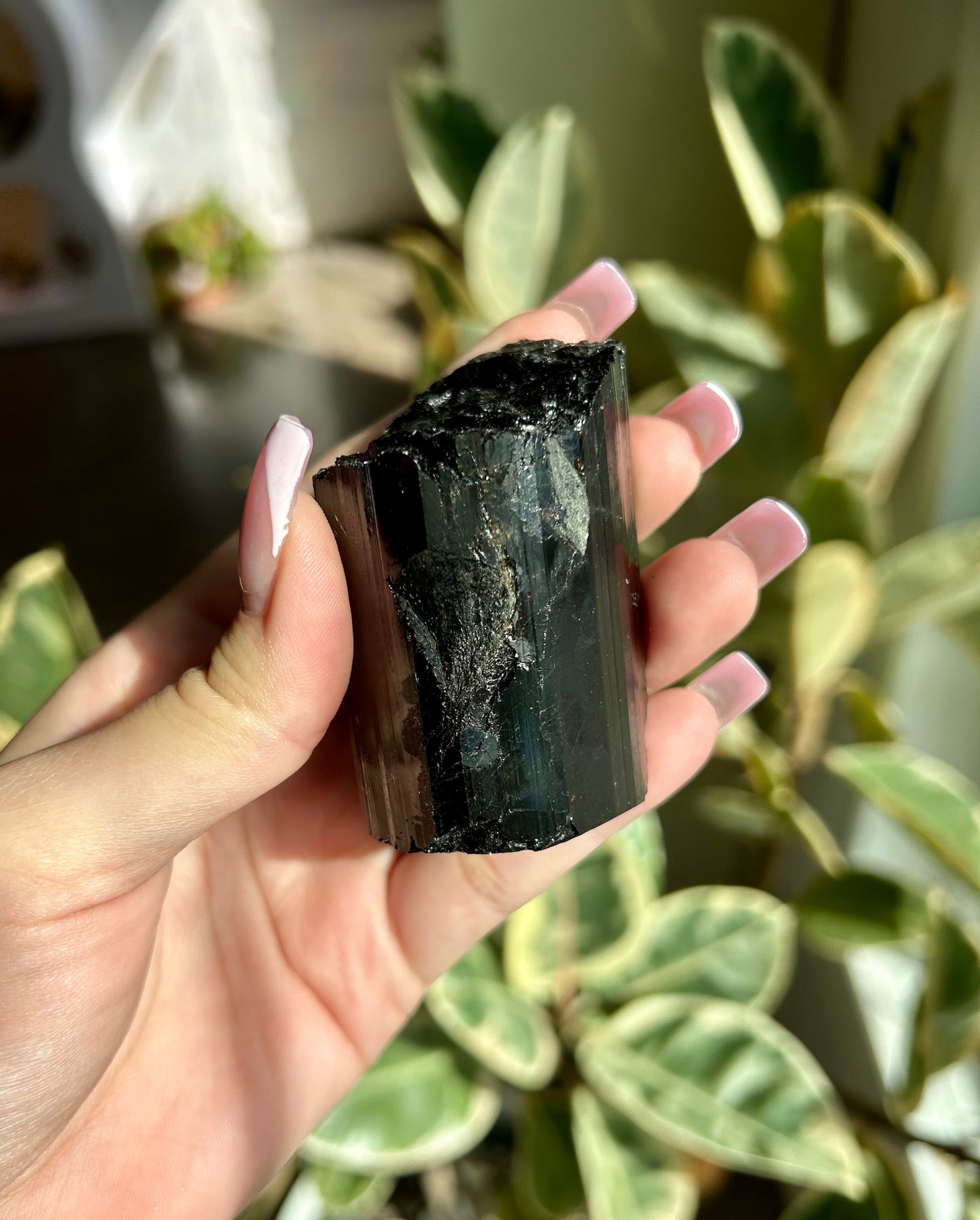 AAA+ Unpolished Black Tourmaline