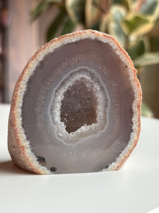 Agate Cut Base