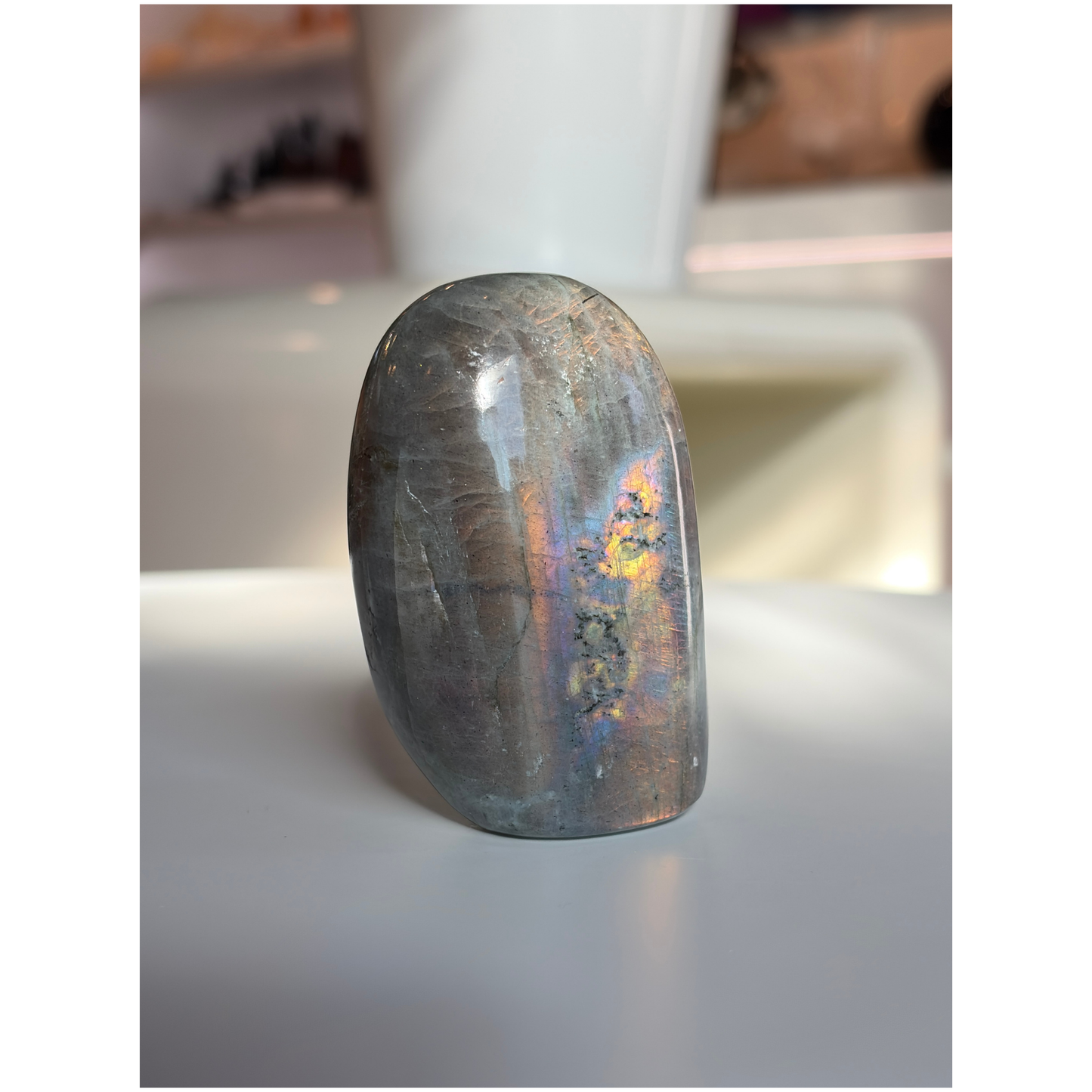 RARE Labradorite & Moonstone Fusion Freeform