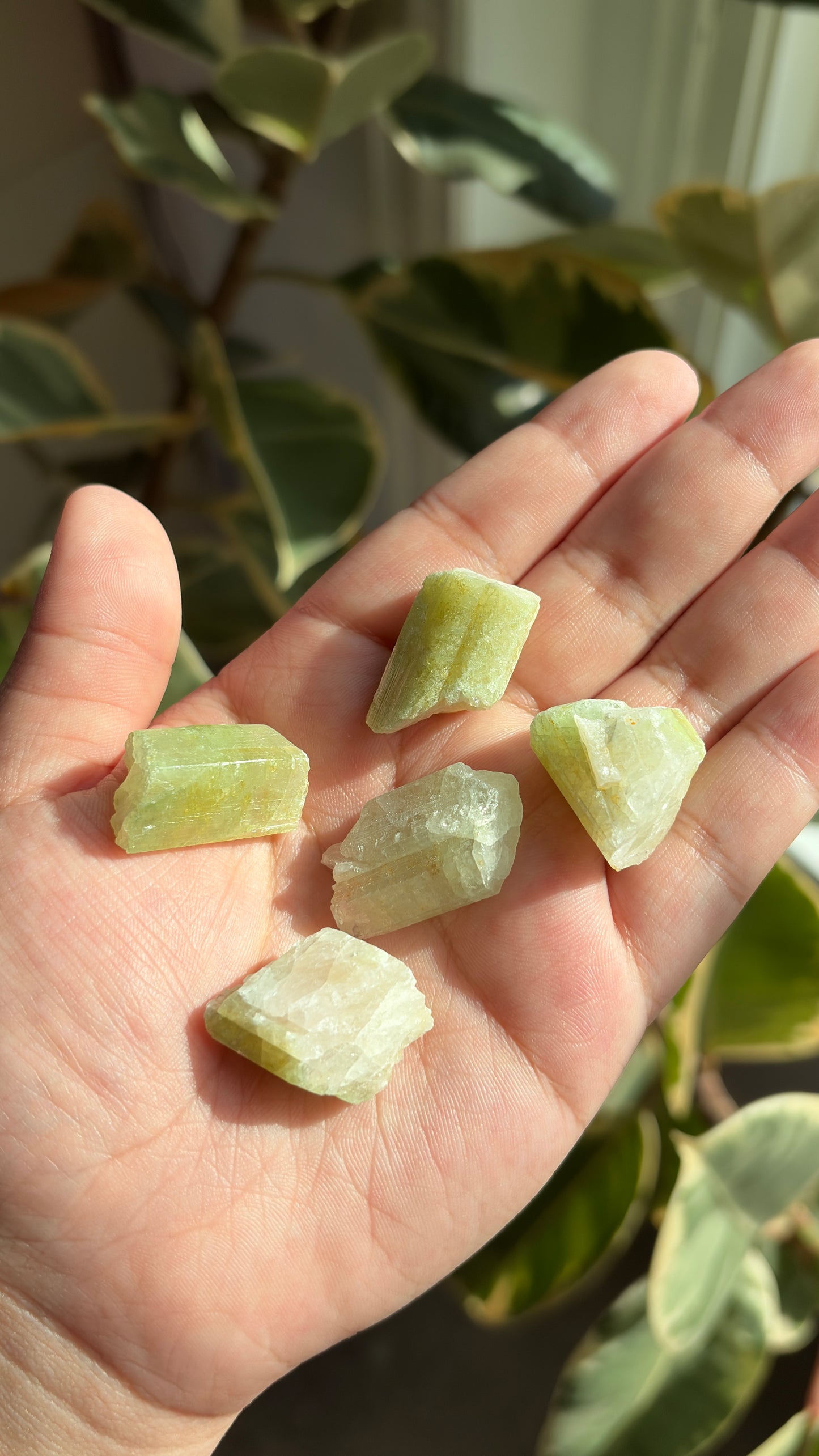 Small Rough Watermelon Tourmaline