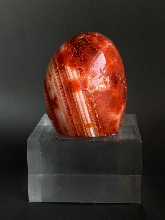 Carnelian Freeform