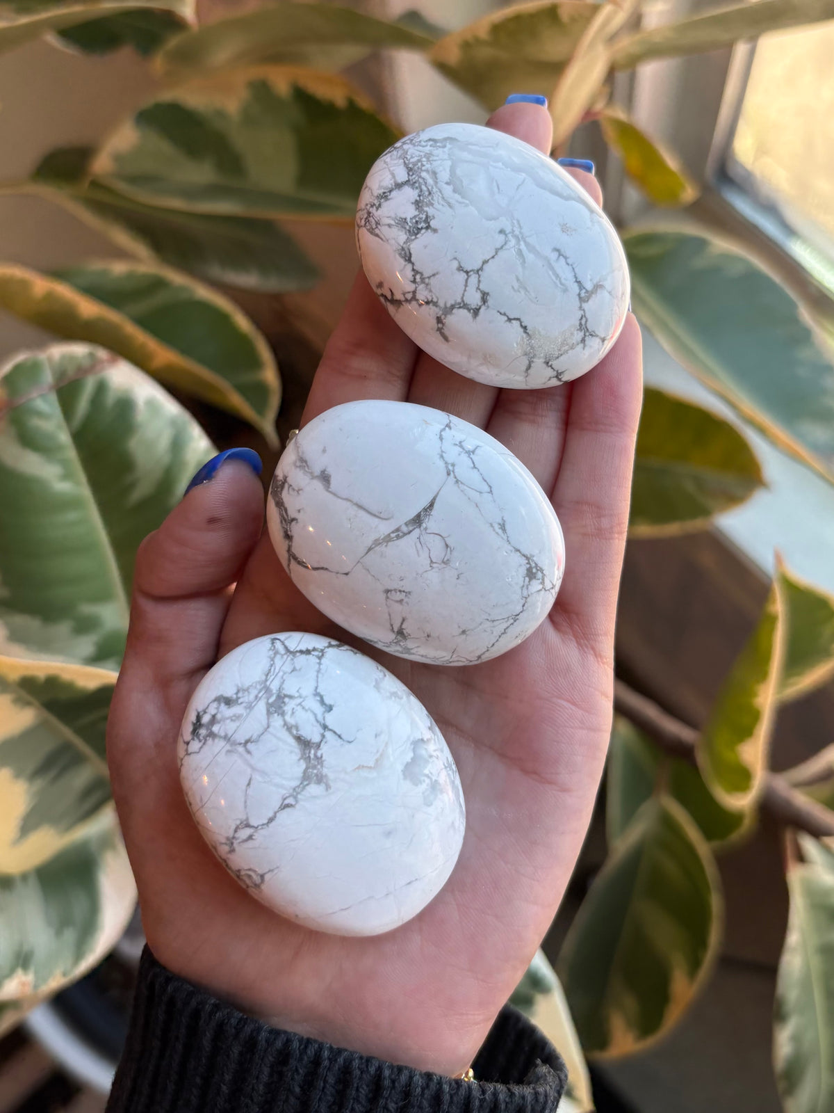 Madagascar Howlite Palmstone