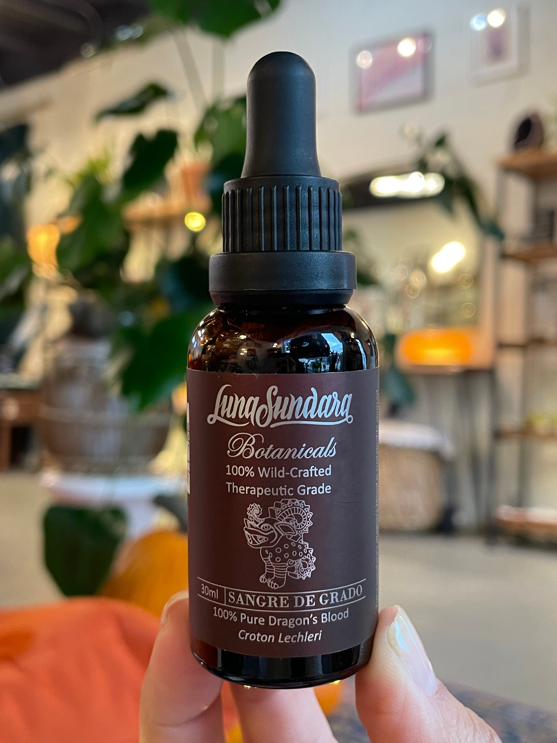 100% Wild Crafted Dragon's Blood (Croton Lechleri) by Luna Sundara 100%  Wild Crafted Dragon's Blood (Croton Lechleri) by Luna Sundara – Luna  Metaphysical