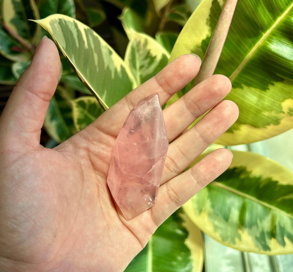 Rose Quartz Freeform