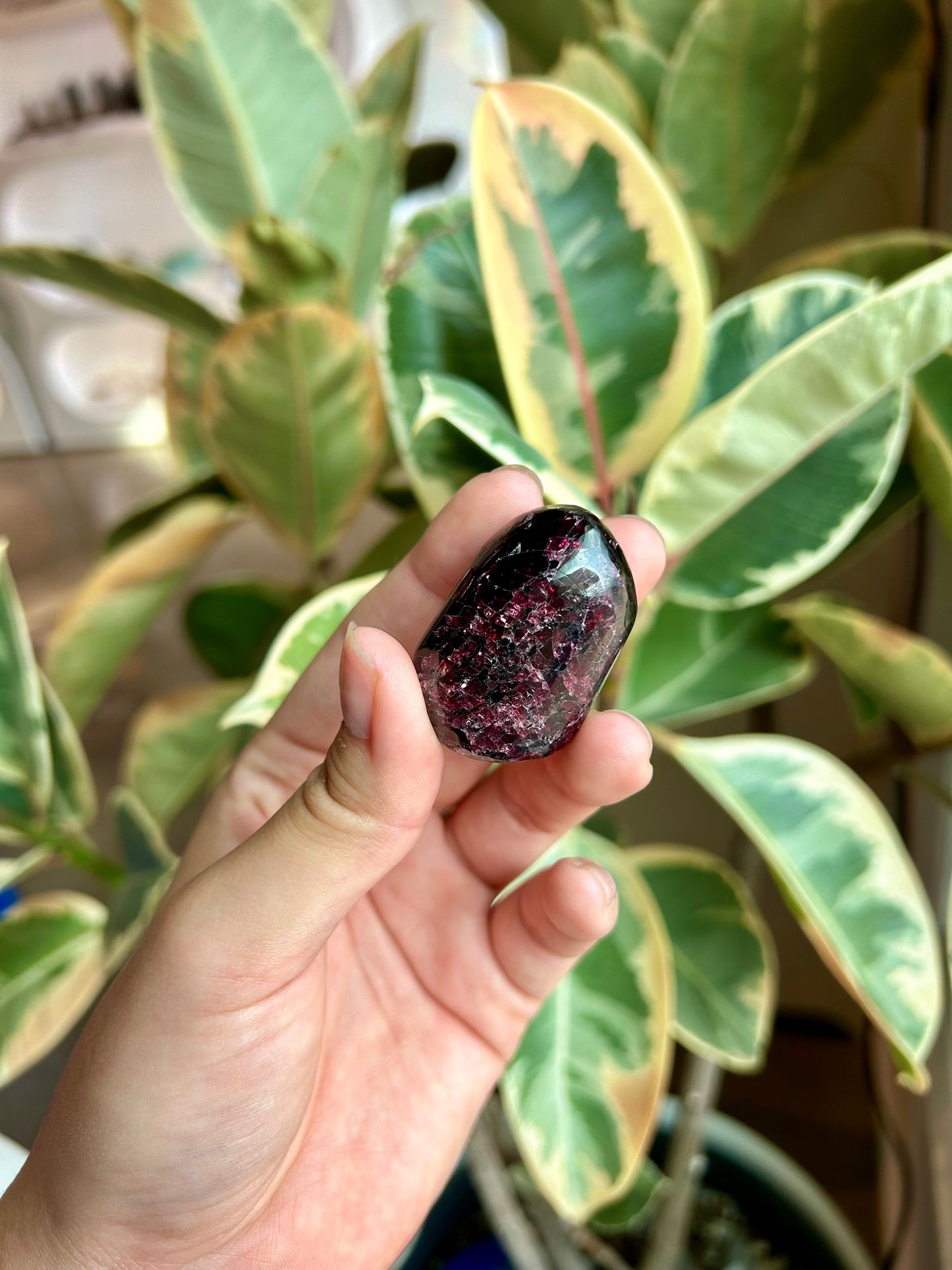 Small Polished Garnet Freeform