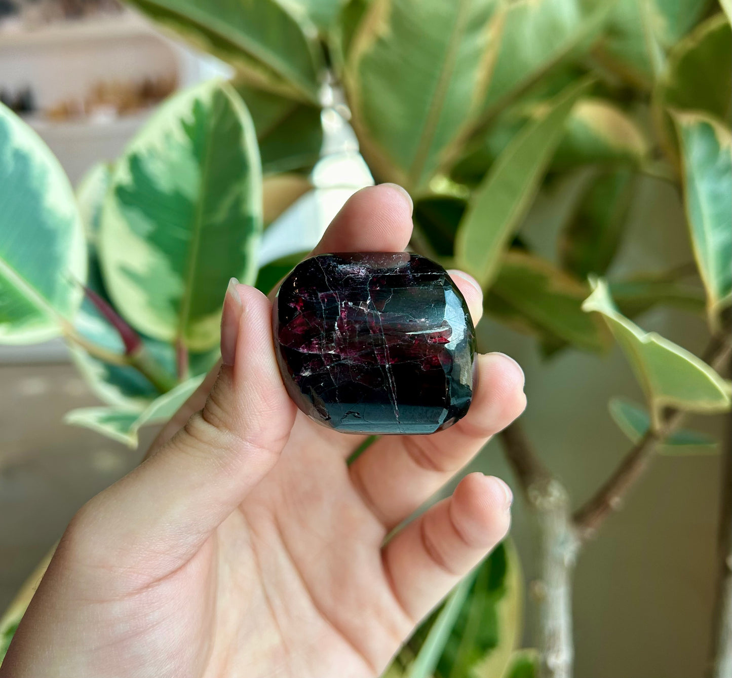 Small Polished Garnet Freeform