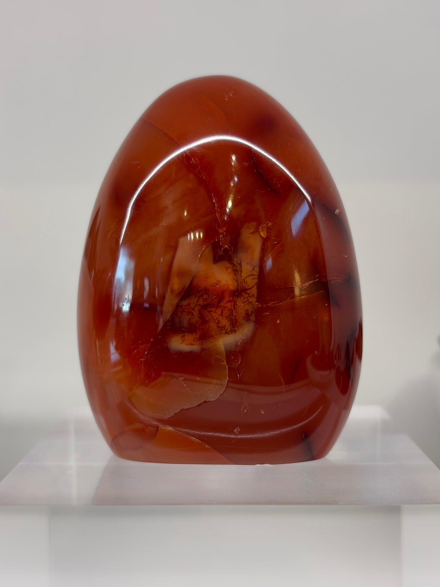 Carnelian Freeform CF3