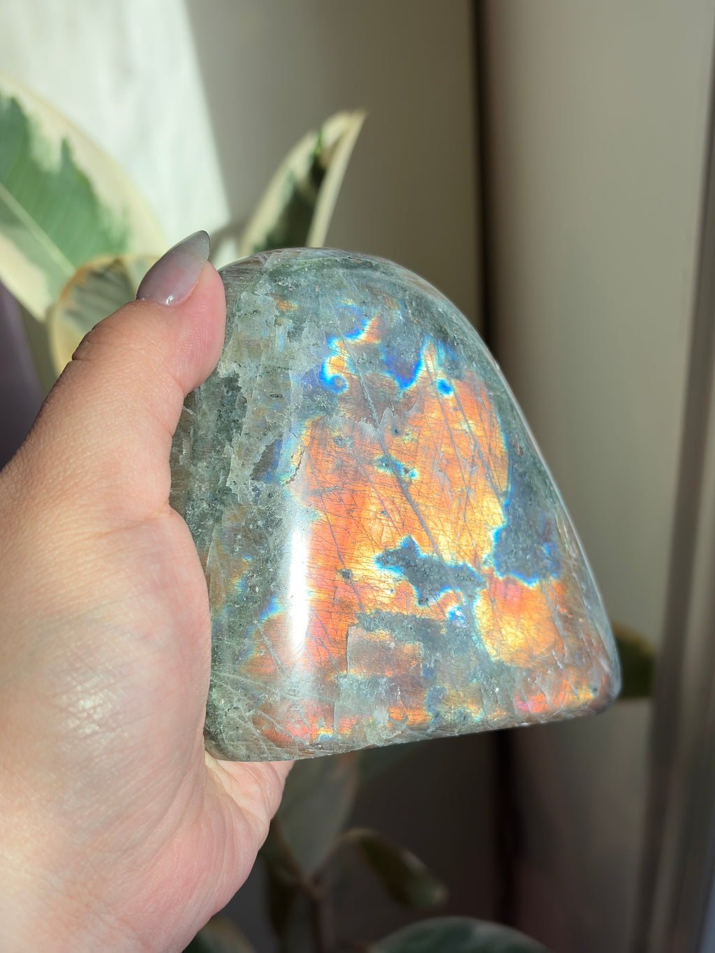 Polished Labradorite Freeform - LB14