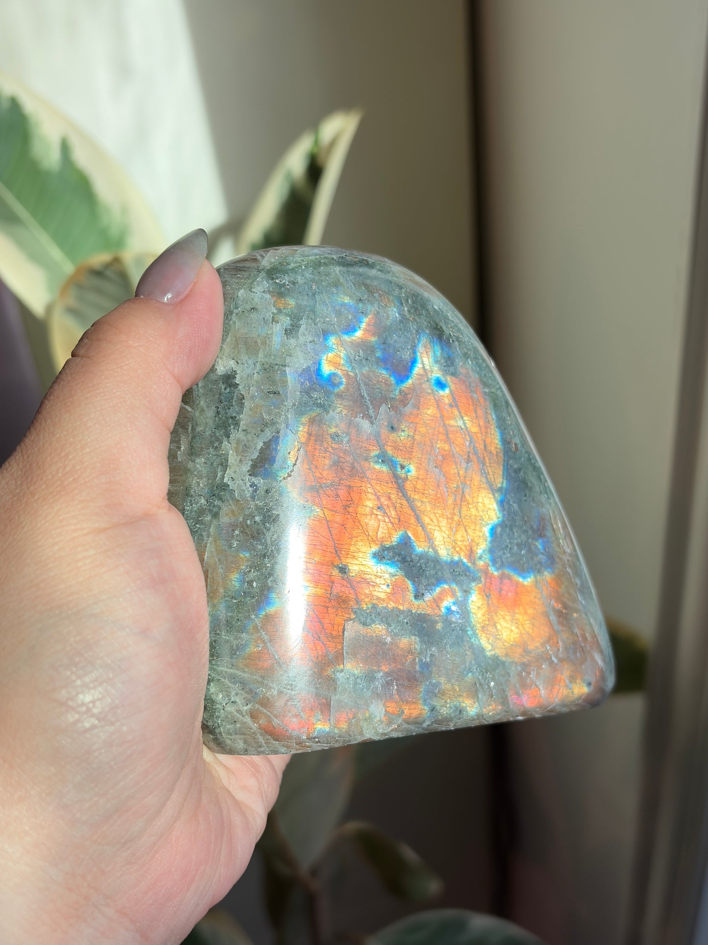 Polished Labradorite Freeform - LB14