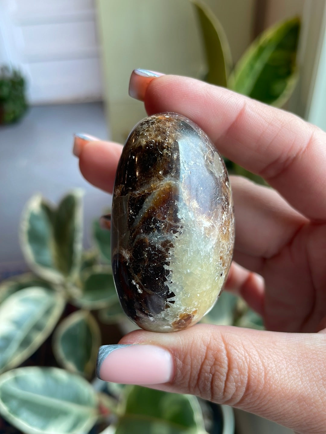 Septarian Palm Stone - EM02